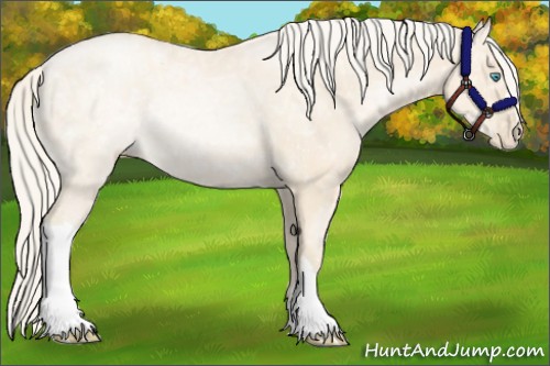 Horse Color:Gold Cream Champagne Ice Pearl Rabicano 