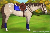 Horse Color:Amber Champagne Ice Appaloosa Rabicano 