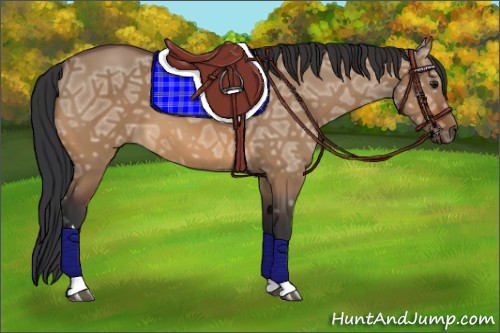 Horse Color:Bay Ice Dun 