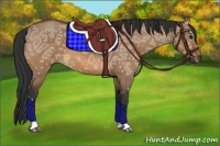 Horse Color:Bay Ice Dun 