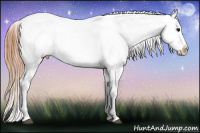 Horse Color:Bay Tobiano Blanket 