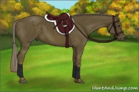 Horse Color:Chocolate Palomino 