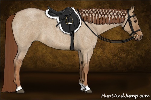 Horse Color:Red Dun Roan 