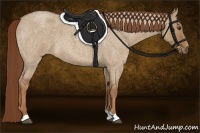 Horse Color:Red Dun Roan 