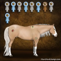 Horse Color:Silver Brown Pearl Splash Rabicano 