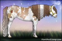 Horse Color:White Spotted Brown Pearl Sabino Splash