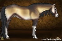 Horse Color:Brown Onyx Sabino 
