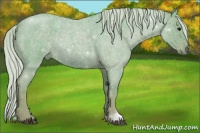 Horse Color:Watercolor Silver Smoky Blue Roan 