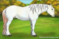 Horse Color:Bay Splash Tobiano Varnish Brindle
