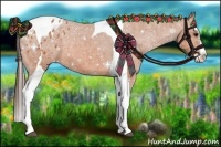 Horse Color:Bay Splash Tobiano Blanket  Brindle
