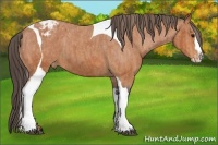 Horse Color:Bay Splash Tobiano Appaloosa Brindle