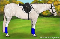 Horse Color:Chocolate Palomino Ice Pearl 