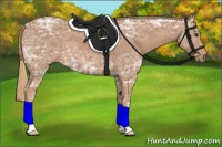 Horse Color:Red Ice Roan 