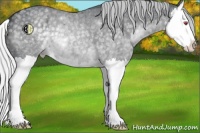 Horse Color:Silver Blue Chinchilla Roan Splash 