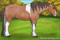 Horse Color:Bay Splash Tobiano Varnish  Brindle