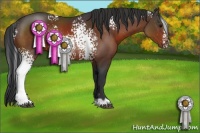 Horse Color:White Spotted Brown 