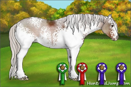 Horse Color:White Spotted Silver Brown 