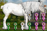 Horse Color:Silver Buckskin Pearl Blanket and Silver Black Pearl Blanket