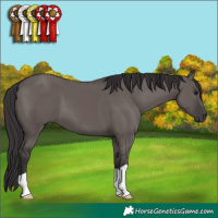 Horse Color:Smoky Grullo