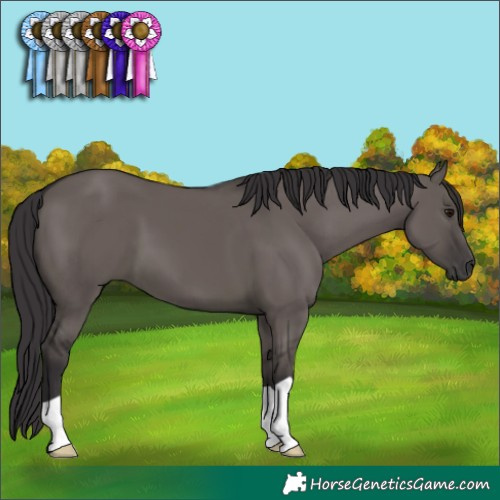 Horse Color:Smoky Grullo 