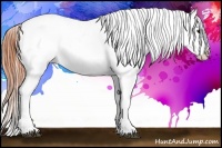 Horse Color:Bay Roan Splash Tobiano Appaloosa Brindle