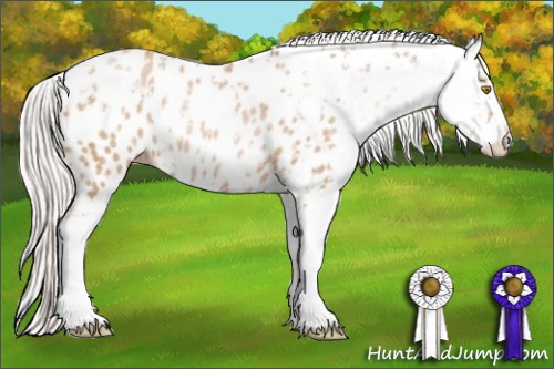Horse Color:Silver Brown Pearl Sabino Appaloosa Rabicano 