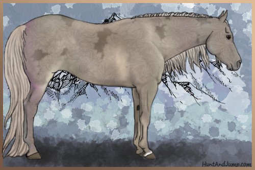 Horse Color:Silver Grullo Ice