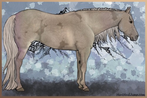 Horse Color:Silver Grullo Ice 