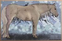 Horse Color:Silver Grullo Ice 