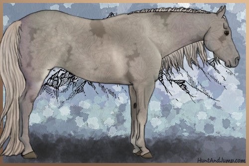 Horse Color:Silver Grullo Ice 