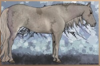 Horse Color:Silver Grullo Ice 