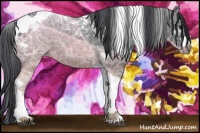 Horse Color:Black Ice Tobiano 