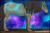 Horse Color:Classic Champagne 