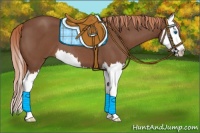 Horse Color:Red Roan Splash 