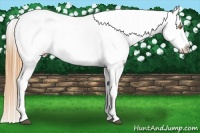 Horse Color:Bay Pearl Splash Tobiano Varnish Brindle
