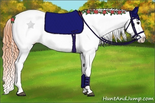 Horse Color:Bay Splash Tobiano Appaloosa  Brindle