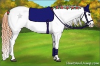 Horse Color:Bay Splash Tobiano Appaloosa  Brindle