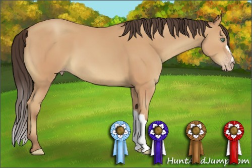 Horse Color:Amber Champagne 