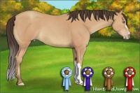 Horse Color:Amber Champagne