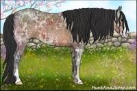 Horse Color:Brown Ice Sabino