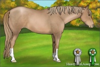 Horse Color:Liver Chestnut Pearl