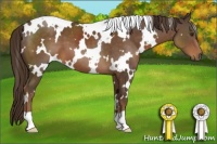 Horse Color:White Spotted Liver Chestnut 