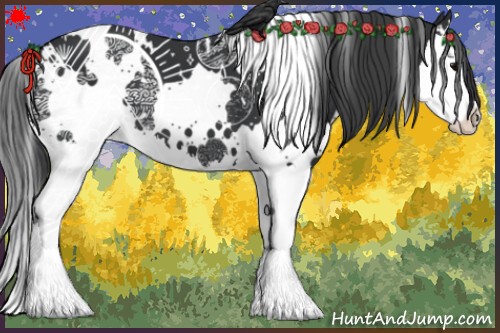 Horse Color:White Spotted Black Splash