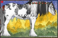Horse Color:White Spotted Black Splash