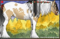 Horse Color:White Spotted Bay Dun Tobiano