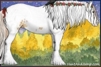 Horse Color:White Spotted Red Dun Splash Tobiano 