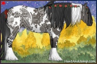 Horse Color:White Spotted Grullo