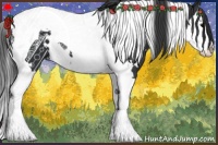 Horse Color:White Spotted Black Splash Tobiano