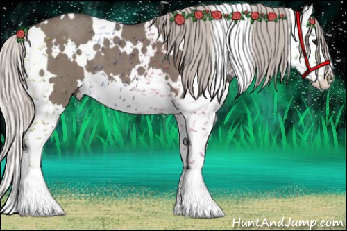Horse Color:White Spotted Silver Grullo Splash 