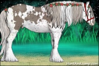 Horse Color:White Spotted Silver Grullo Splash